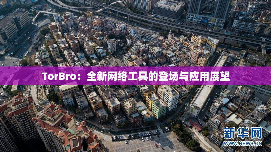 TorBro：全新网络工具的登场与应用展望