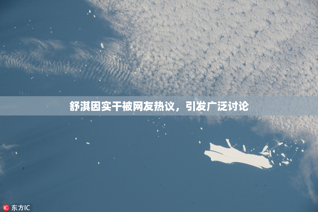 舒淇因实干被网友热议，引发广泛讨论