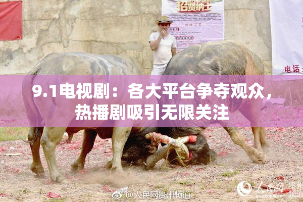9.1电视剧：各大平台争夺观众，热播剧吸引无限关注