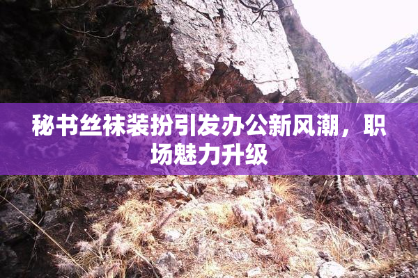 秘书丝袜装扮引发办公新风潮，职场魅力升级