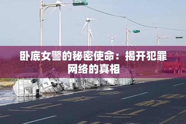 卧底女警的秘密使命：揭开犯罪网络的真相
