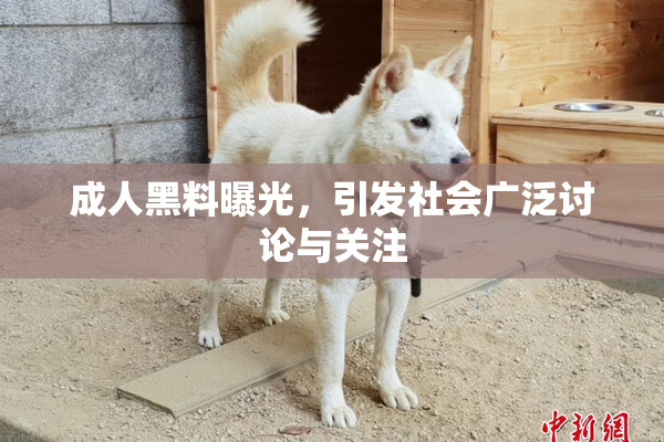 成人黑料曝光，引发社会广泛讨论与关注