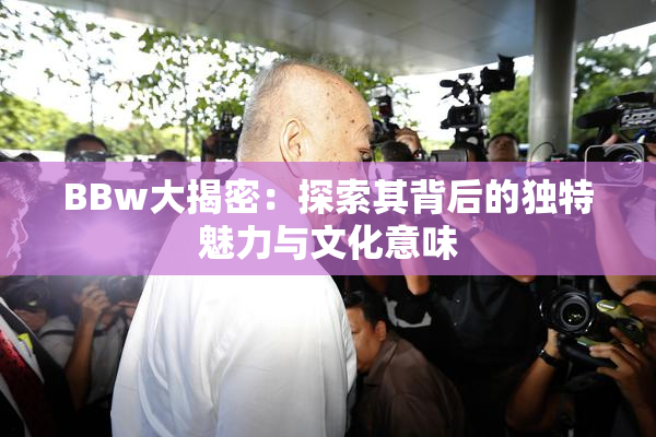 BBw大揭密：探索其背后的独特魅力与文化意味