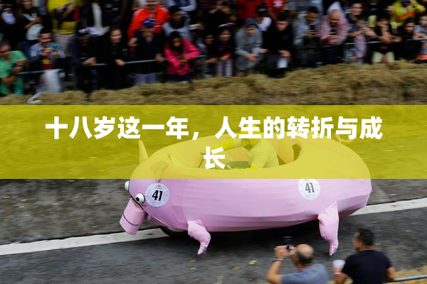 十八岁这一年，人生的转折与成长