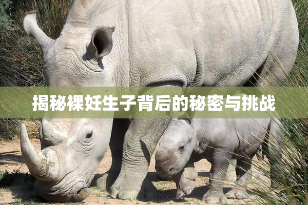 揭秘裸妊生子背后的秘密与挑战
