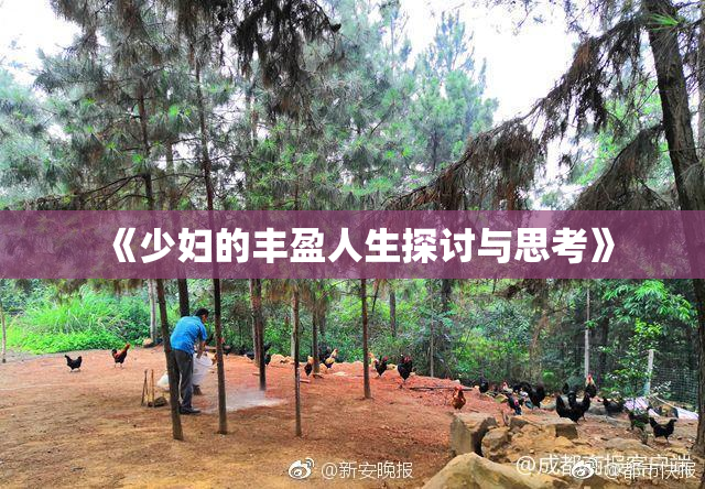 《少妇的丰盈人生探讨与思考》