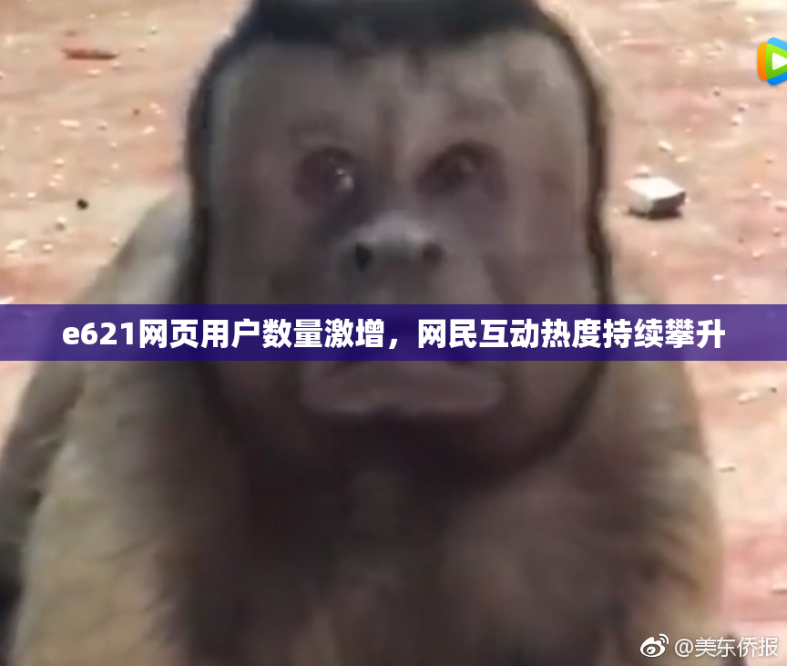e621网页用户数量激增，网民互动热度持续攀升