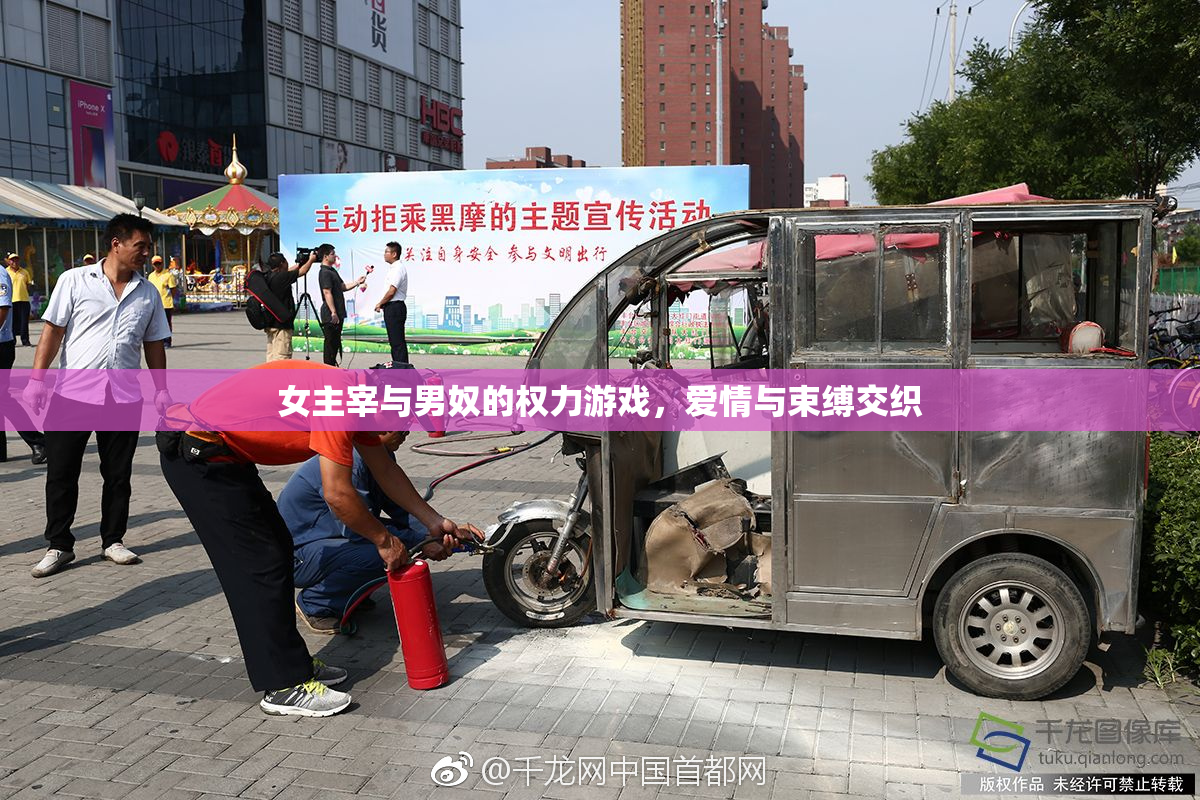 女主宰与男奴的权力游戏，爱情与束缚交织