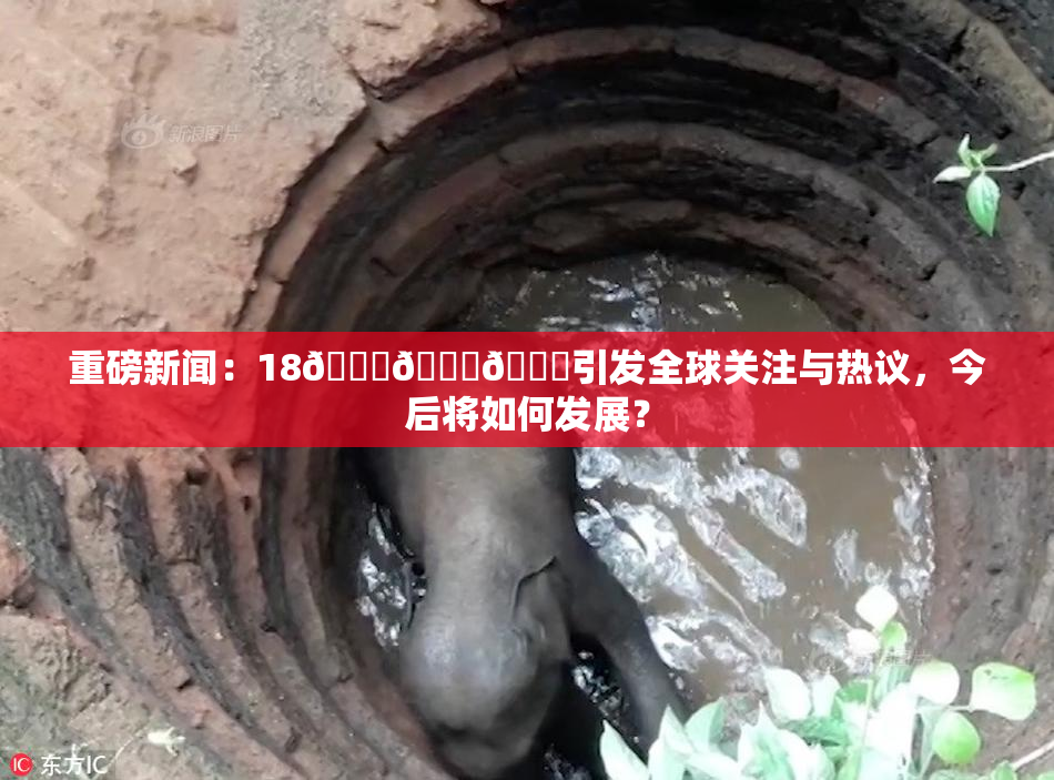 重磅新闻：18🔞🍆🍑引发全球关注与热议，今后将如何发展？