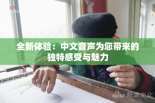 全新体验：中文音声为您带来的独特感受与魅力
