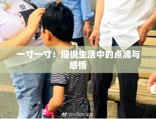 一寸一寸：细说生活中的点滴与感悟