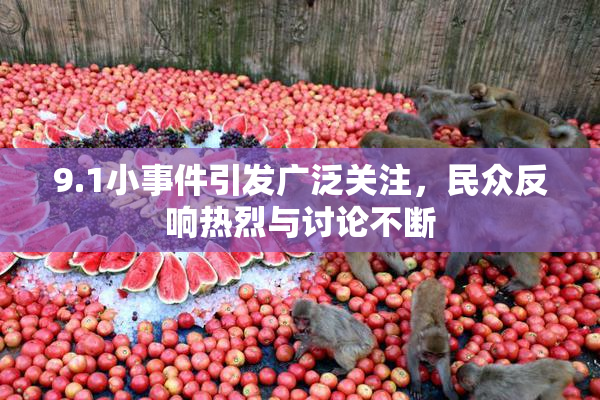 9.1小事件引发广泛关注，民众反响热烈与讨论不断