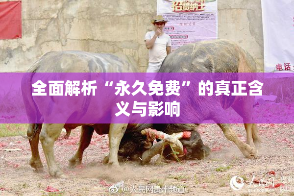 全面解析“永久免费”的真正含义与影响