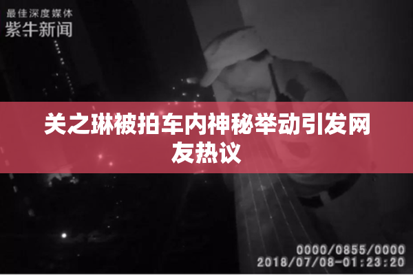 关之琳被拍车内神秘举动引发网友热议