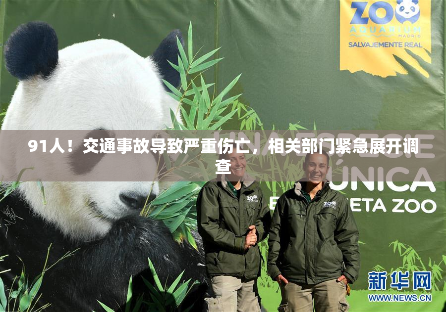 91人！交通事故导致严重伤亡，相关部门紧急展开调查