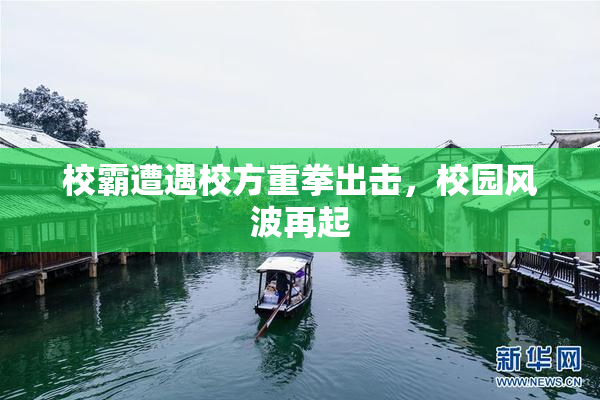 校霸遭遇校方重拳出击，校园风波再起