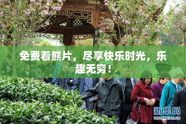 免费看熊片，尽享快乐时光，乐趣无穷！