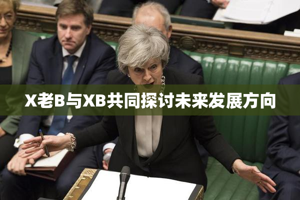 X老B与XB共同探讨未来发展方向