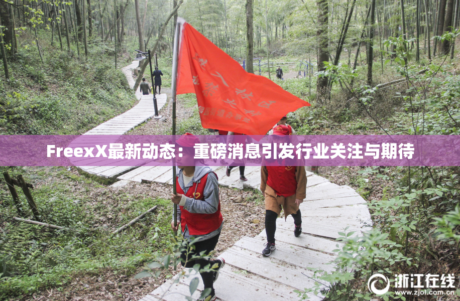FreexX最新动态：重磅消息引发行业关注与期待