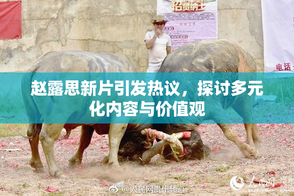 赵露思新片引发热议，探讨多元化内容与价值观