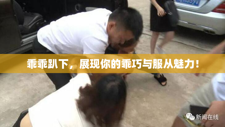 乖乖趴下，展现你的乖巧与服从魅力！