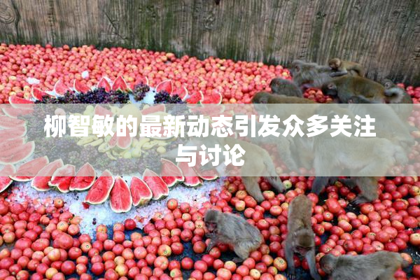 柳智敏的最新动态引发众多关注与讨论