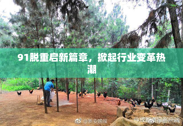91脱重启新篇章，掀起行业变革热潮