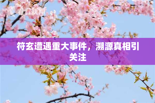 符玄遭遇重大事件，溯源真相引关注