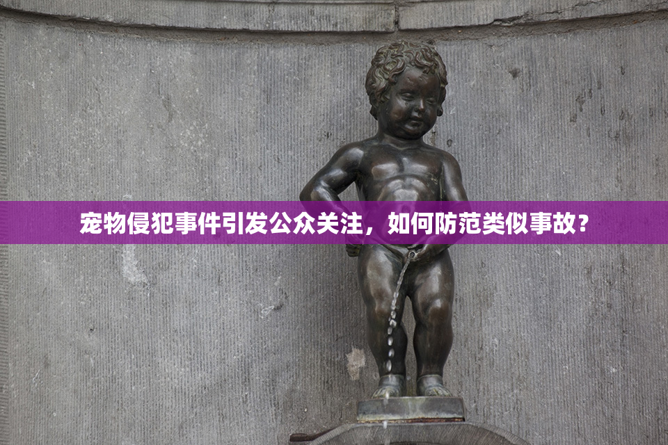 宠物侵犯事件引发公众关注，如何防范类似事故？