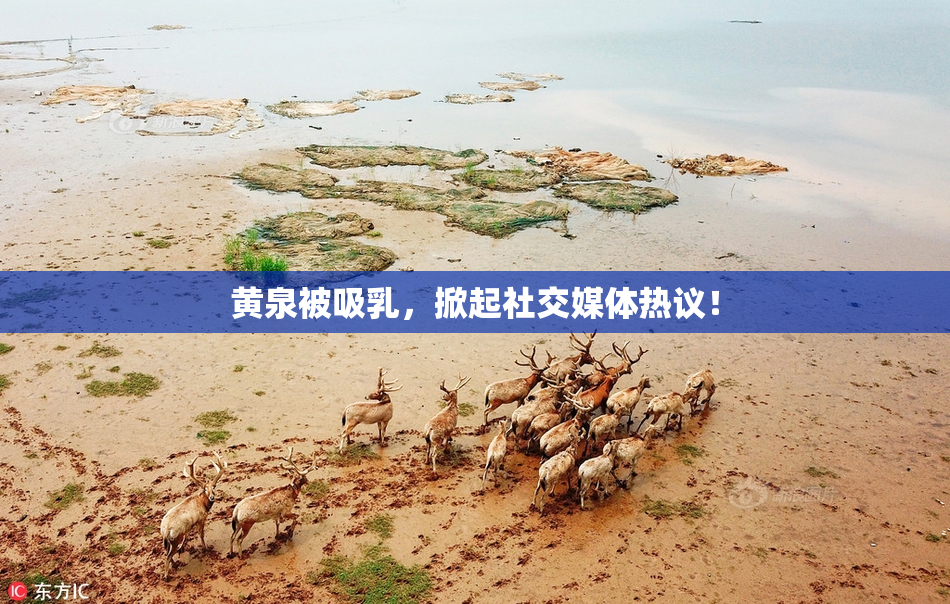 黄泉被吸乳，掀起社交媒体热议！