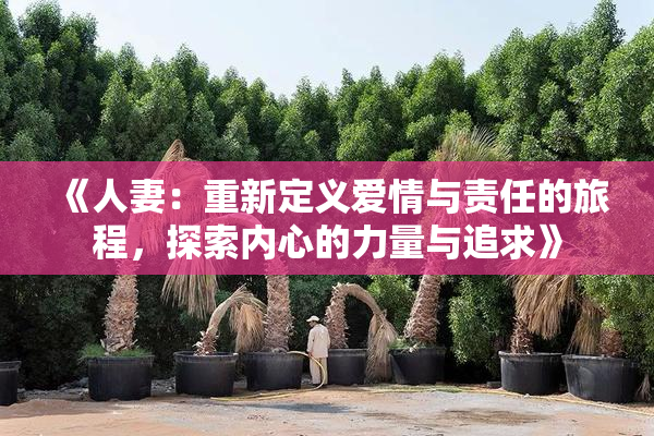《人妻：重新定义爱情与责任的旅程，探索内心的力量与追求》