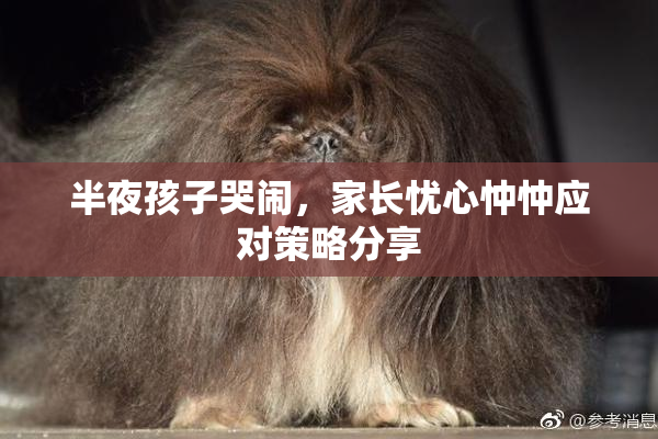 半夜孩子哭闹，家长忧心忡忡应对策略分享