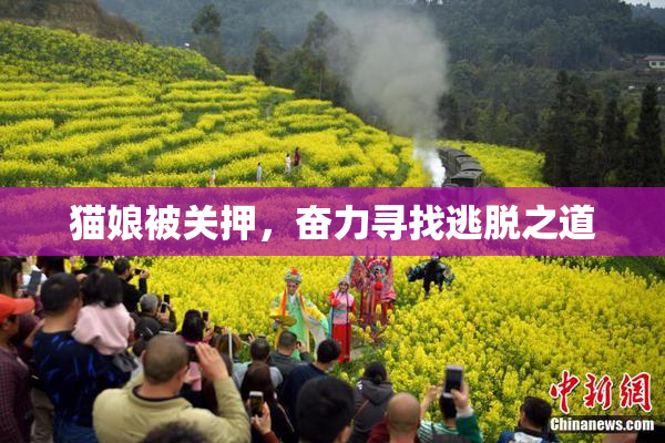 猫娘被关押，奋力寻找逃脱之道