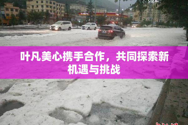 叶凡美心携手合作，共同探索新机遇与挑战