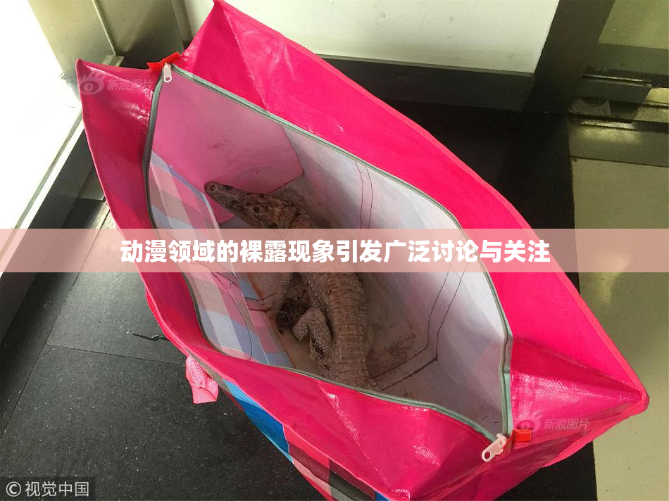 动漫领域的裸露现象引发广泛讨论与关注
