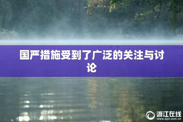 国严措施受到了广泛的关注与讨论