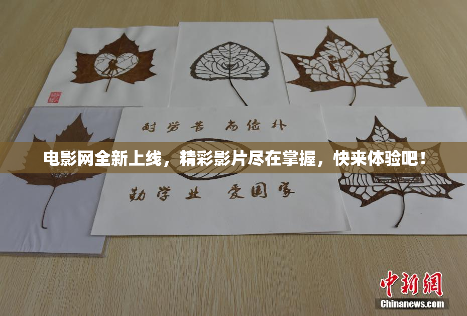 电影网全新上线，精彩影片尽在掌握，快来体验吧！