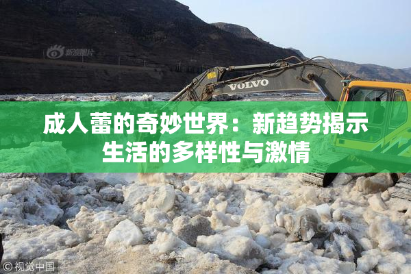 成人蕾的奇妙世界：新趋势揭示生活的多样性与激情