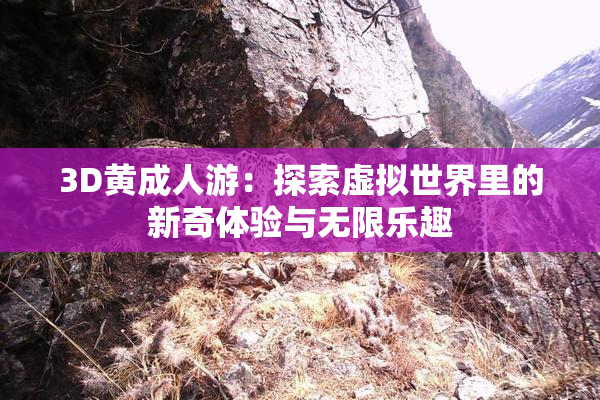 3D黄成人游：探索虚拟世界里的新奇体验与无限乐趣