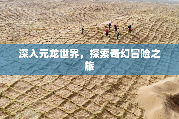 深入元龙世界，探索奇幻冒险之旅