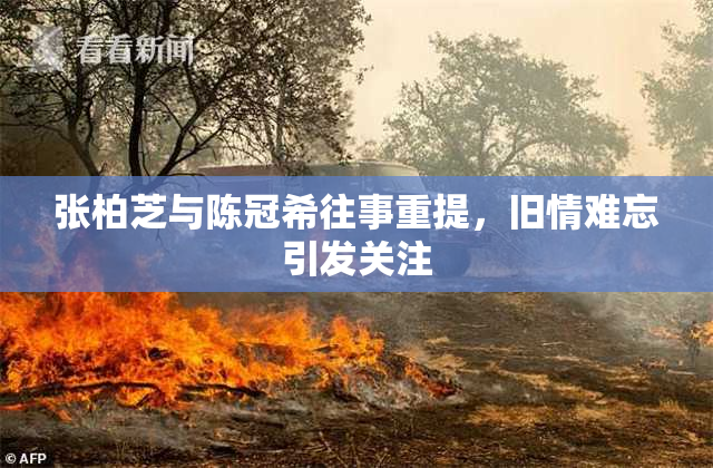 张柏芝与陈冠希往事重提，旧情难忘引发关注