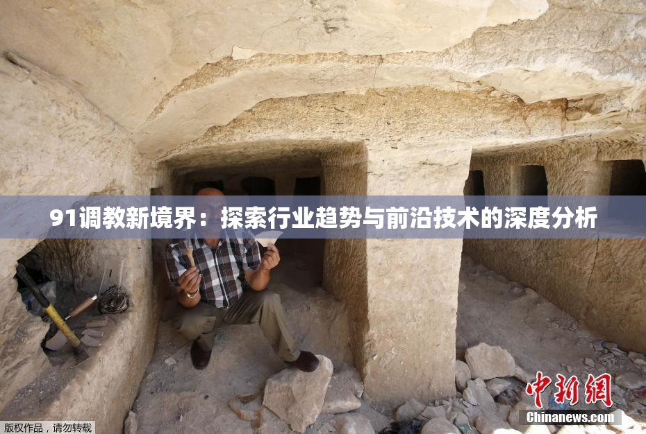 91调教新境界：探索行业趋势与前沿技术的深度分析