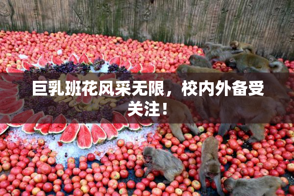 巨乳班花风采无限，校内外备受关注！