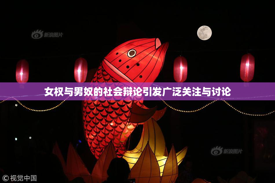 女权与男奴的社会辩论引发广泛关注与讨论
