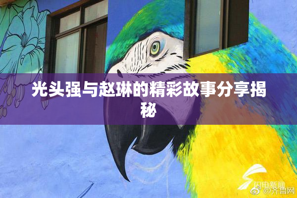 光头强与赵琳的精彩故事分享揭秘