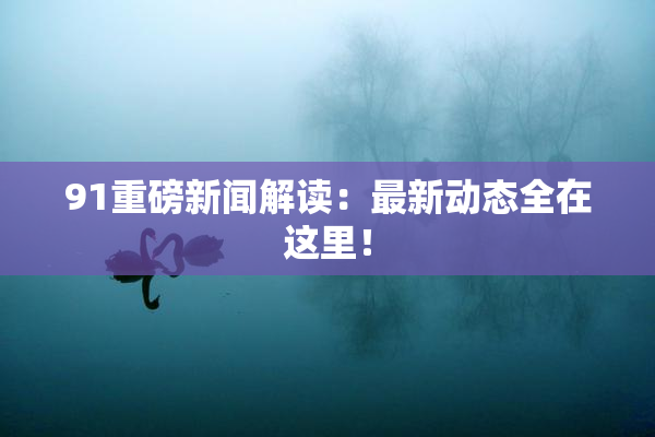 91重磅新闻解读：最新动态全在这里！