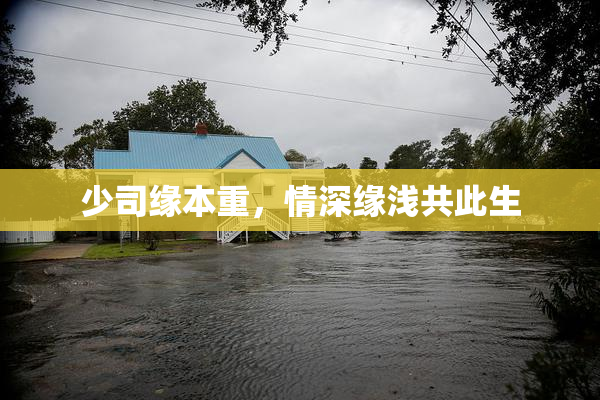 少司缘本重，情深缘浅共此生