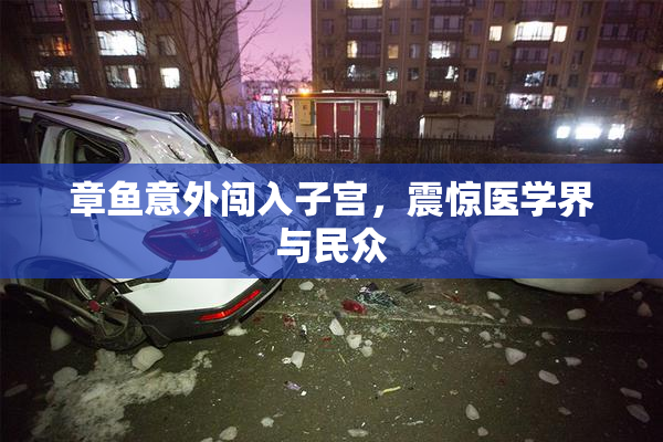 章鱼意外闯入子宫，震惊医学界与民众