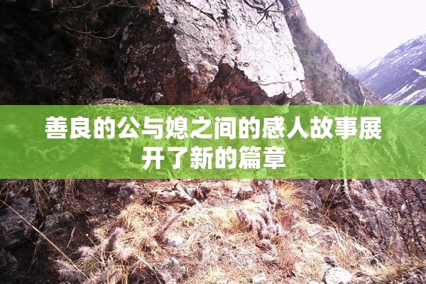 善良的公与媳之间的感人故事展开了新的篇章