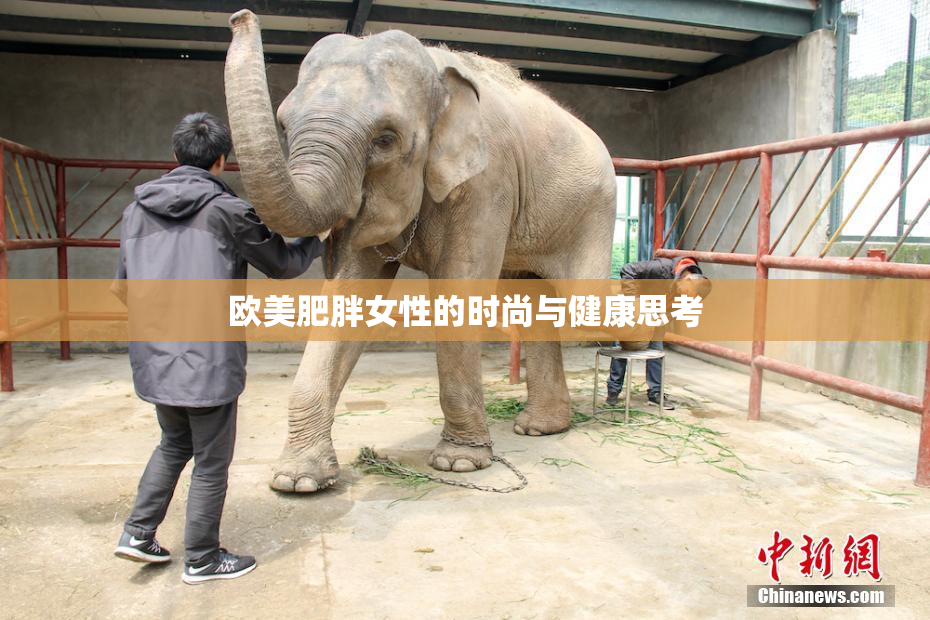 欧美肥胖女性的时尚与健康思考